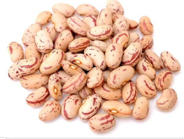 Cranberry Beans - Image 3