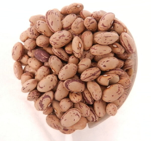 Cranberry Beans - Image 2